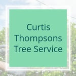 Curtis Thompsons Tree Service Logo