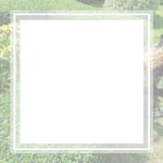 Downey Trees Inc Logo