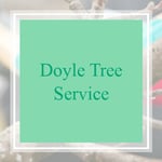 Doyle Tree Service Logo