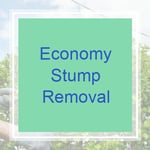 Economy Stump Removal Logo