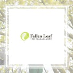 Fallen Leaf Tree Service Inc Logo