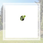 Fielder Tree Services Llc Logo