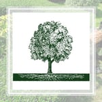 Flintridge Tree Care Inc Logo