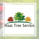 Haas Tree Service Llc Logo