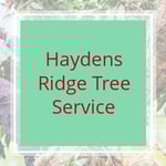 Haydens Ridge Tree Service Logo