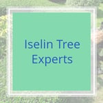 Iselin Tree Experts Logo