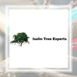 Iselin Tree Experts Llc Logo