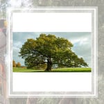 Juans Tree Service Logo