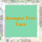 Kemper Tree Care Logo