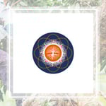 Limbwalker Tree Service Logo