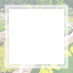 Loran Landscapes Logo