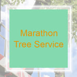 Marathon Tree Service Logo