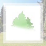 Messina Enterprises Logo