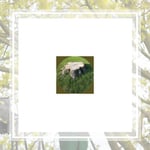 Metro Tree And Crane Logo