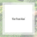 Miller Tree Care Logo