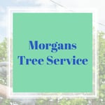 Morgans Tree Service Logo