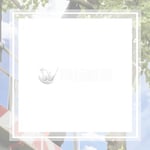 National Tree Care &amp; Landscape Logo