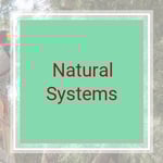 Natural Systems Logo