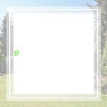 North Raleigh Tree Service Buc Logo