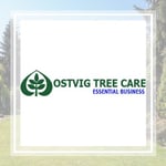 Ostvig Tree Logo