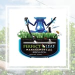 Perfect Leaf Management Logo