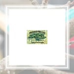 Preferred Tree Care Llc Logo