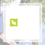 Preservation Tree Services Inc Logo
