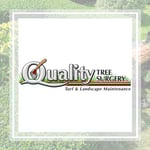Quality Tree Surgery Logo