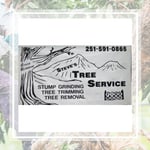 Sardina Mangroves &amp; Trees Logo