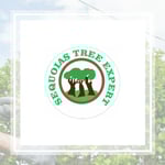 Sequoias Tree Expert Llc Logo