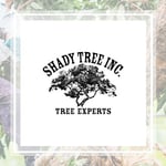 Shady Tree Inc Logo