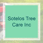 Sotelos Tree Care Inc Logo