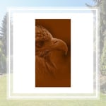 Specialty Tree Care Landscaping Logo