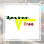 Specimen Tree Llc Logo