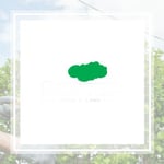 St Croix Tree Service Logo