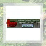 Sterling Tree Service Inc Logo