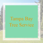Tampa Bay Tree Service Logo