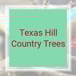 Texas Hill Country Trees Logo