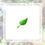 Tommys Tree Service Logo