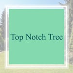 Top Notch Tree Logo