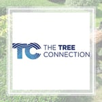 Tree Connection Logo