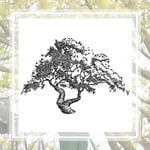 Tree Elite Inc Logo