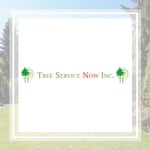 Tree Service Now Logo