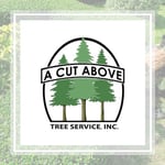 Tree Team Inc Logo