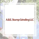 Trees Of Georgia Inc Logo