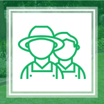 Veteran Tree Care Logo