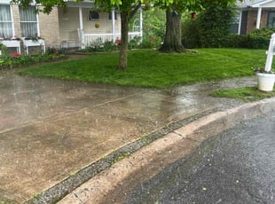 Tina M.'s lawn
