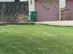 Timeka L.'s lawn