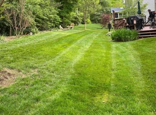 Ahmed S.'s lawn