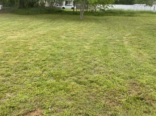 Treasure K.'s lawn